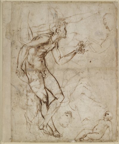 Verso: Adán tentado, WA1846.180 de Raffaello Sanzio Raphael
